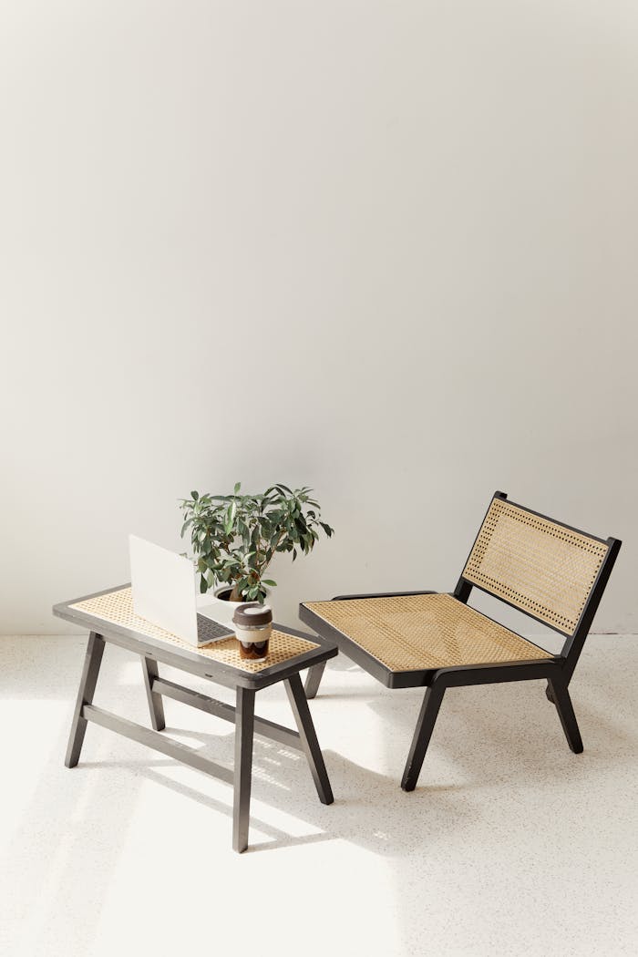 Stylish minimalist interior featuring a rattan chair, table, and laptop with a potted plant.
